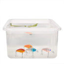 Kit 8 iscas flutuantes minnow topwater com estojo